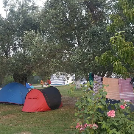 Never Land Camping *